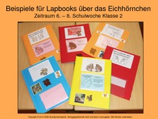 Beispiel-Lapbook-Eichhörnchen-Klasse-2.pdf